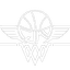 Basketball logo